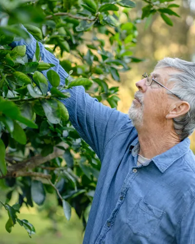 Home & Garden Maintenance